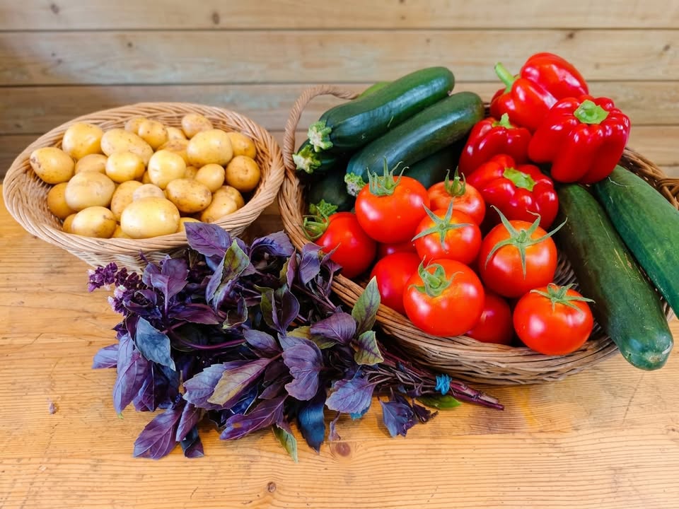 La Ferme des Cèdres