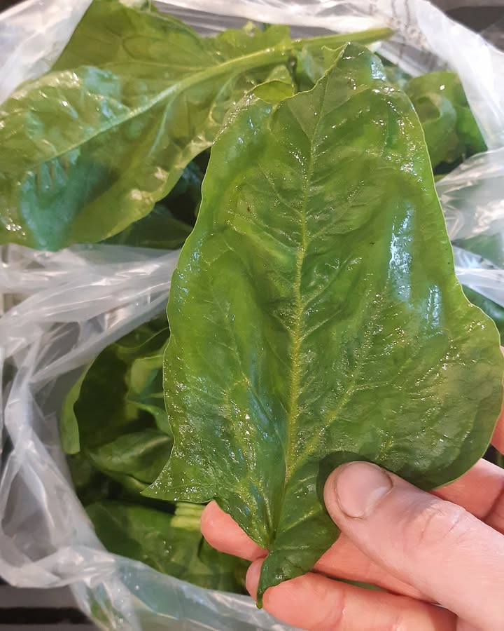 La Ferme des Cèdres