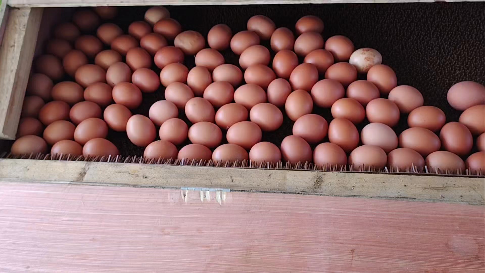 La Ferme des Cèdres