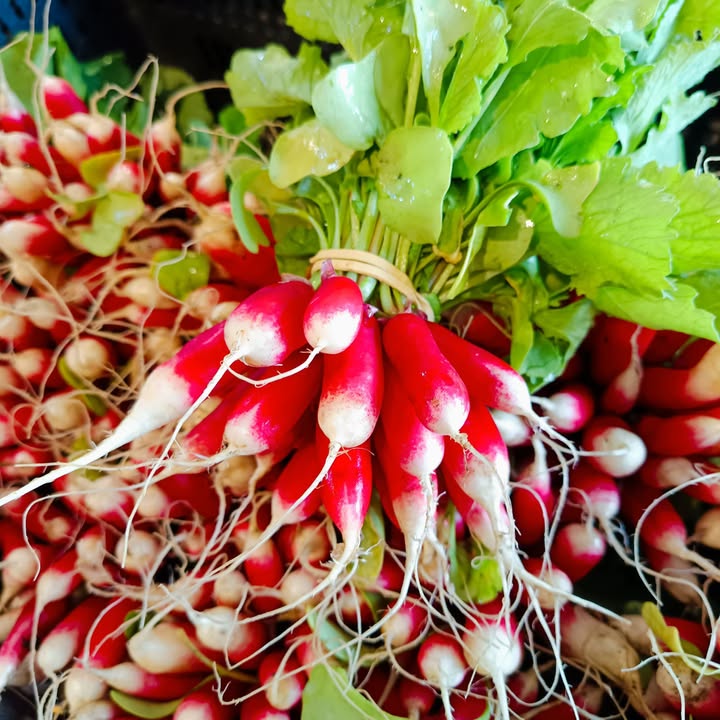 La Ferme des Cèdres
