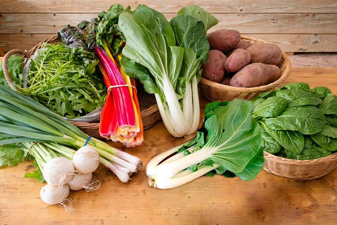 La Ferme des Cèdres