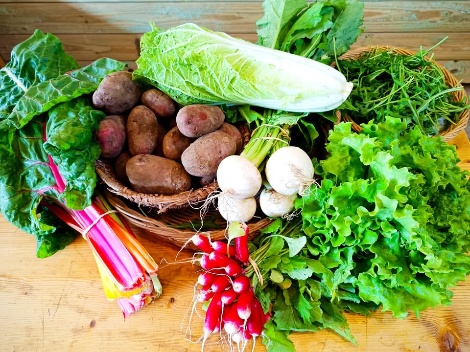 La Ferme des Cèdres