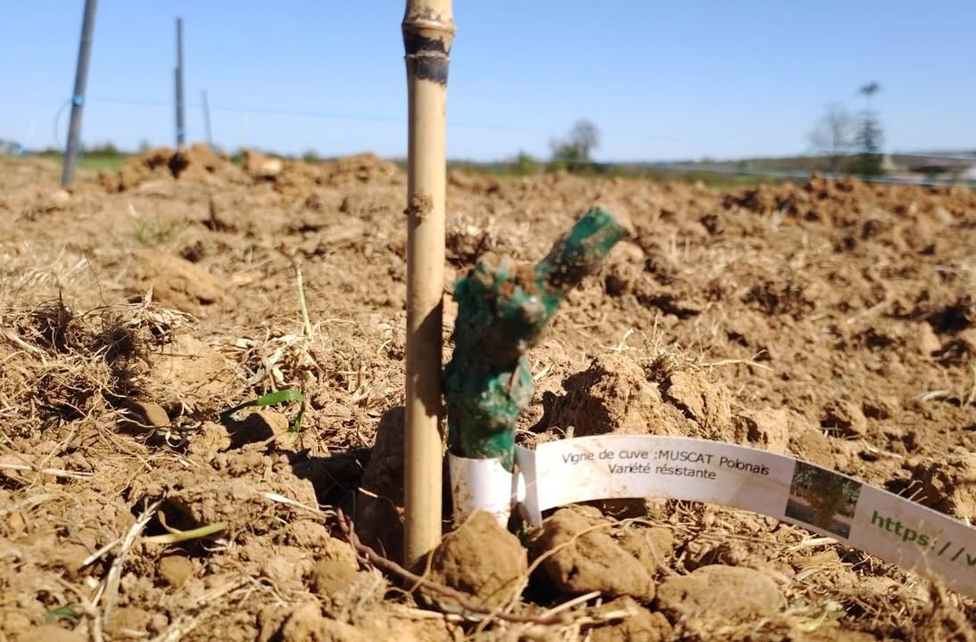 La Ferme des Cèdres