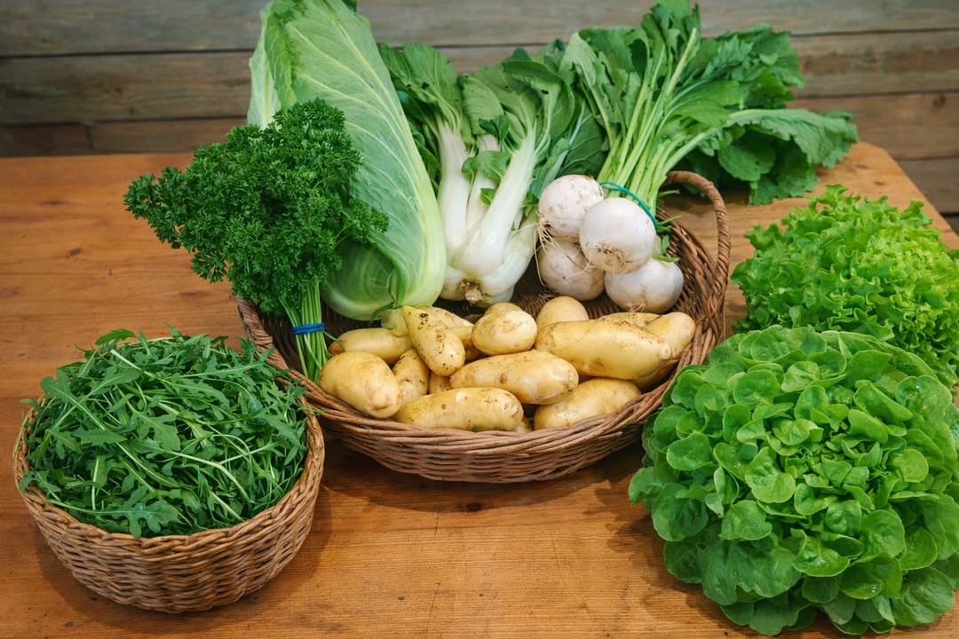 La Ferme des Cèdres