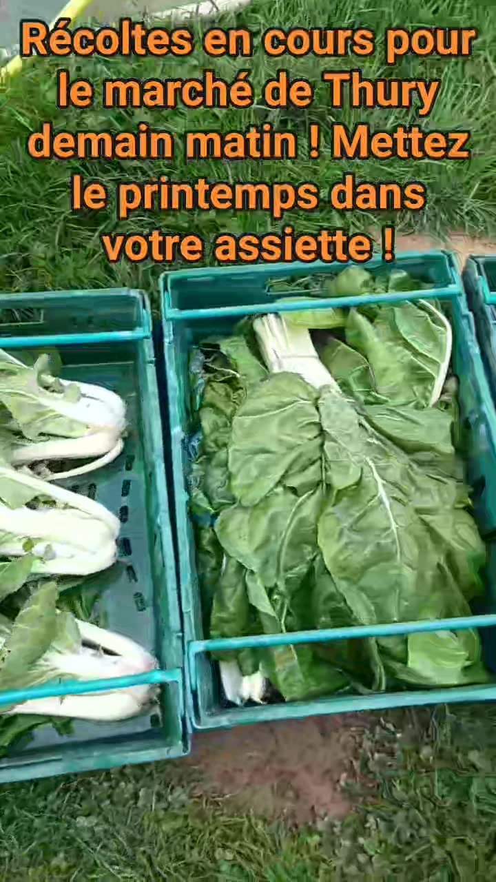 La Ferme des Cèdres