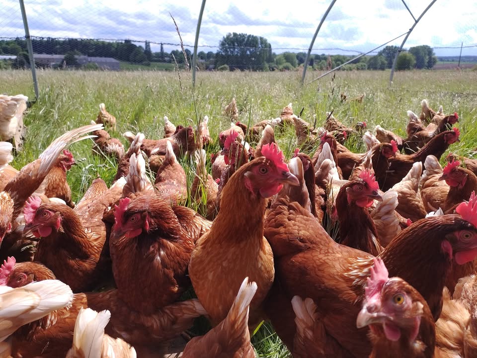La Ferme des Cèdres