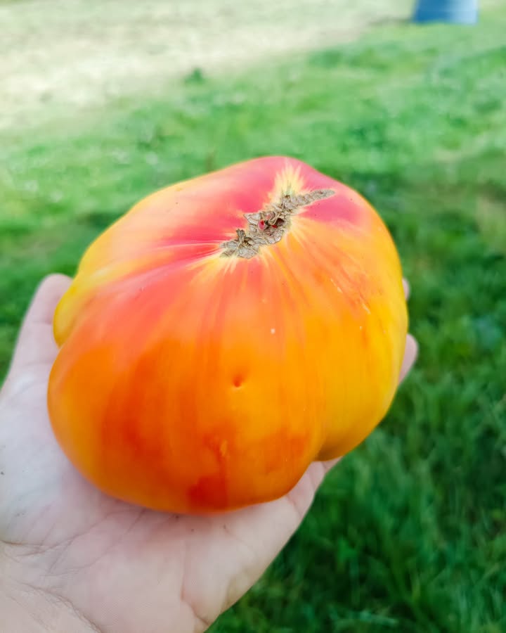 La Ferme des Cèdres